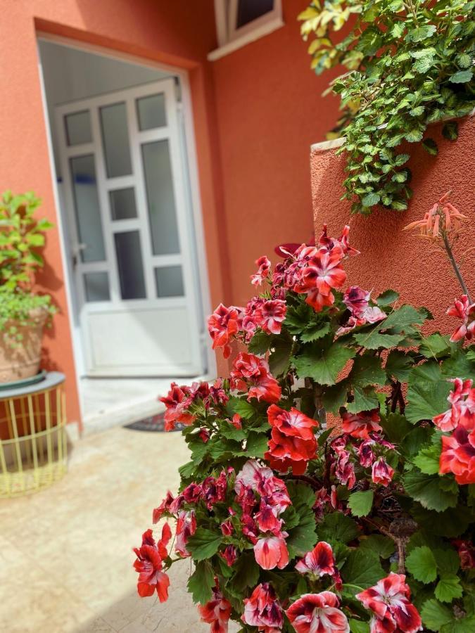 Apartments Zala Matusan Супетарска Драга Екстериор снимка