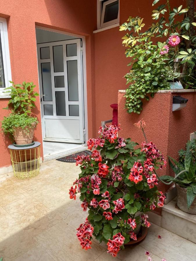 Apartments Zala Matusan Супетарска Драга Екстериор снимка