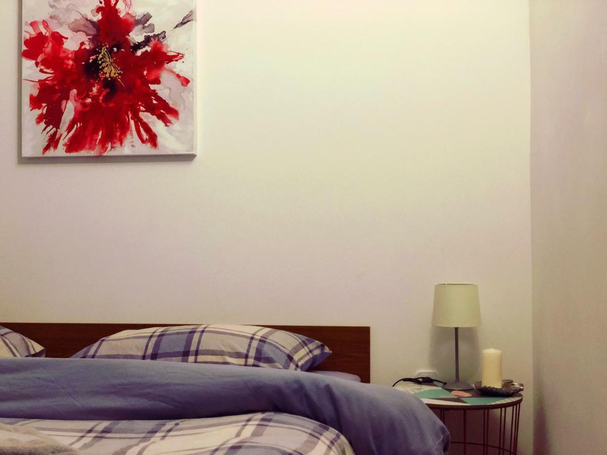 Apartments Zala Matusan Супетарска Драга Екстериор снимка